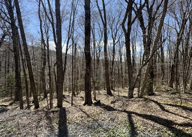 Property at lot 92 Aplendorf, Readsboro, VT 05350