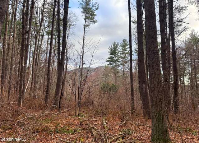 Property at 0 Glendale Rd, Stockbridge, MA 01262