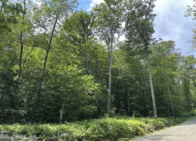 Property at Lot 4 Ore Bed Rd, Lanesborough, MA 01237