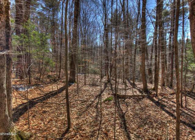 Property at 0 Tyringham Rd, Otis, MA 01253