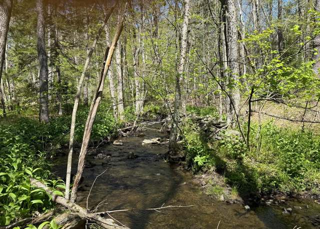 Property at 358 Schulze Rd, Washington, MA 01223