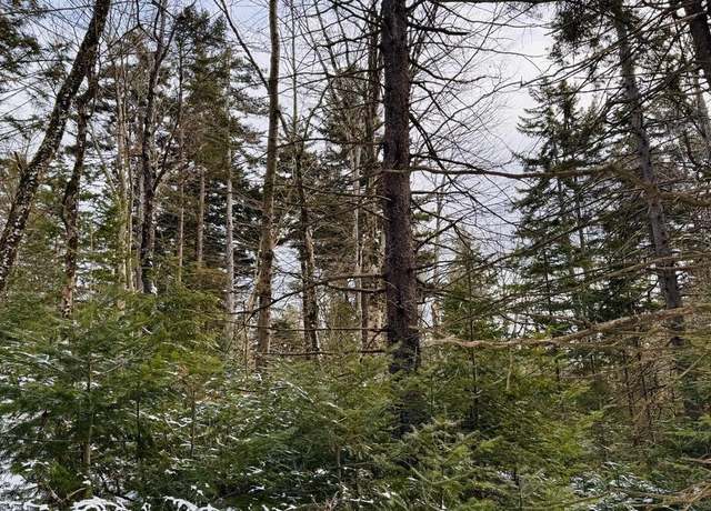 Property at 0 Spruce Dr, Peru, MA 01235