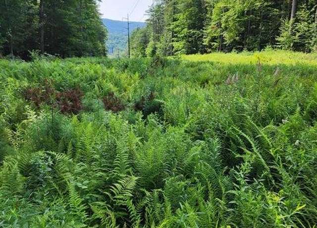Property at Cross Rd, Clarksburg, MA 01247