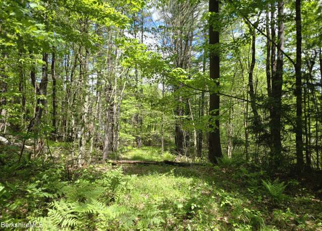 Property at 0 E Otis Rd, Otis, MA 01253