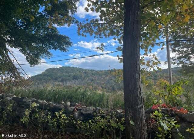 Property at Main Rd & George Canon, Tyringham, MA 01264