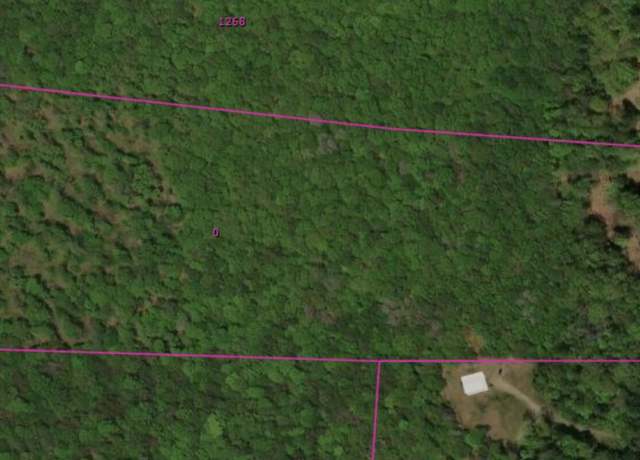 Property at 1282 Burt Hill Rd, Tolland, MA 01034