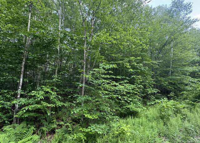 Property at lot 305 Lebenschauung Cir, Stamford, VT 05352