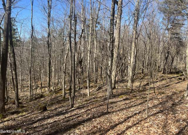 Property at 0 Goose Pond Rd, Tyringham, MA 01264