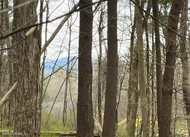 Property at 162 Alford Rd, Great Barrington, MA 01230