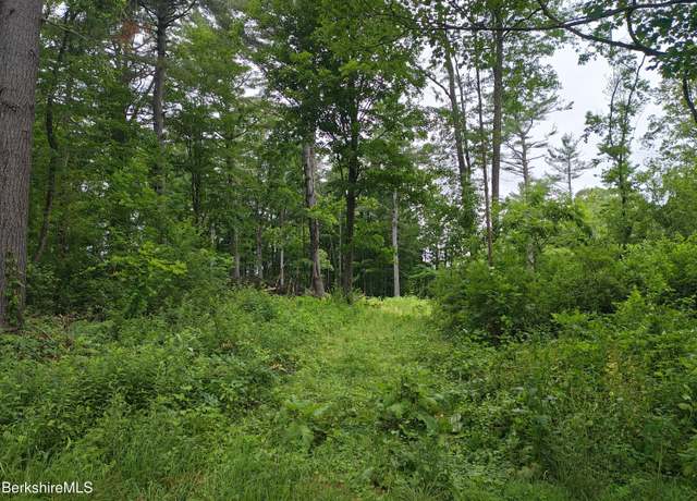 Property at Iroquois St, Lanesborough, MA 01237