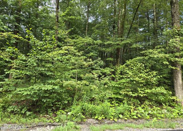 Property at Wells Rd, Becket, MA 01223