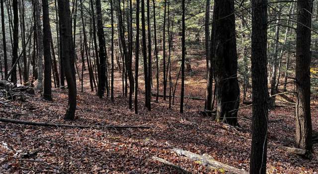 Photo of Lot 84 Moberg Rd, Becket, MA 01223