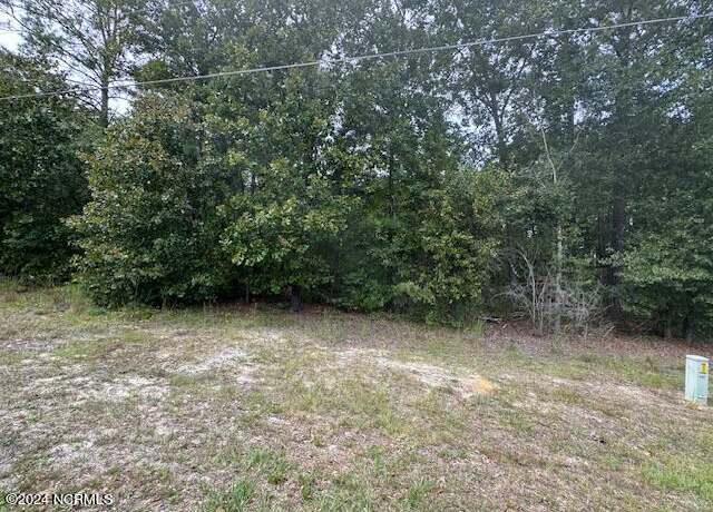Property at 19 Ida Mill Rd, Laurel Hill, NC 28351