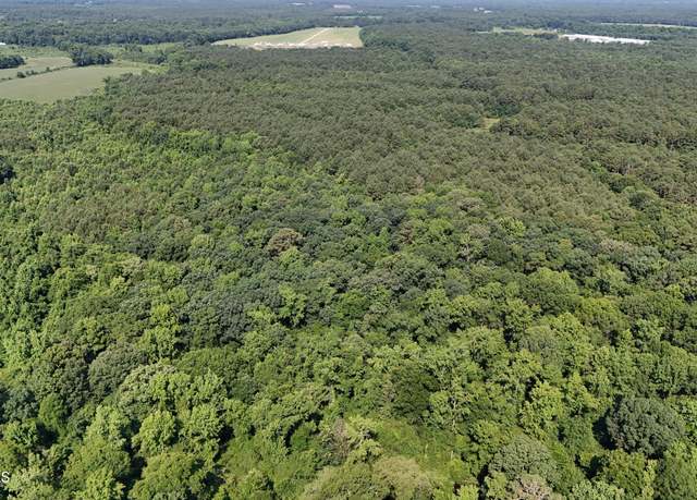 Property at 0 Reedsford Rd, Turkey, NC 28393