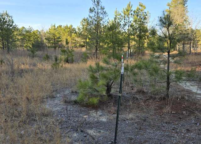 Property at Tbd Dirt Rd, Hamlet, NC 28345