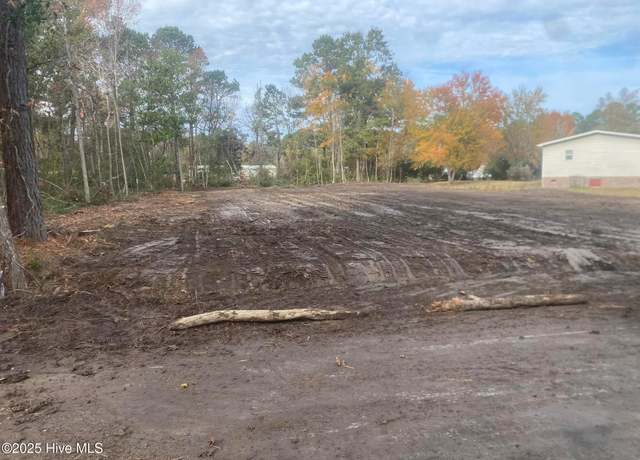 Property at 124 Tasha St, Sneads Ferry, NC 28460