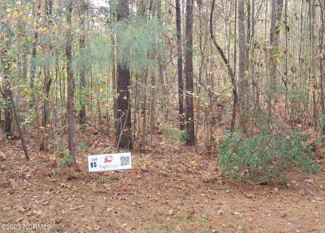Property at Lot 65 Eagle Trace Dr, Blounts Creek, NC 27814