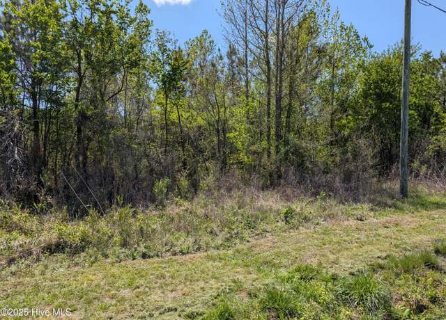 Property at 000 111, Chinquapin, NC 28521