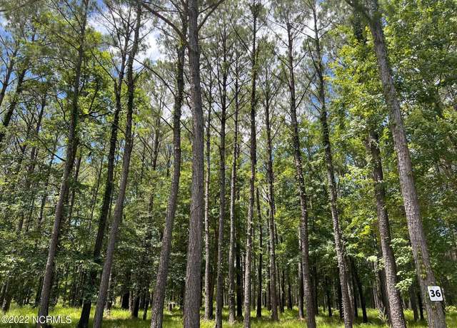Property at 208 Madison Ave, Oriental, NC 28571