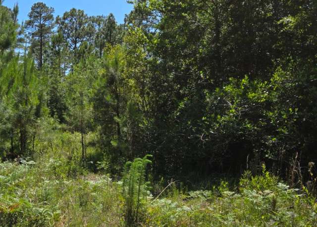 Property at Tr16 Wildwood, Boiling Spring Lakes, NC 28461