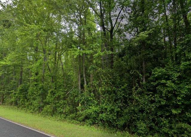 Property at 0 Nashville Church Rd, Marston, NC 28363
