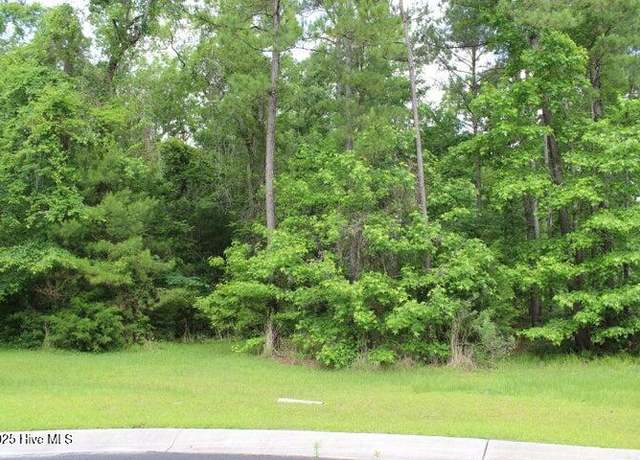 Property at 1404 Pindo Ct SE, Bolivia, NC 28422