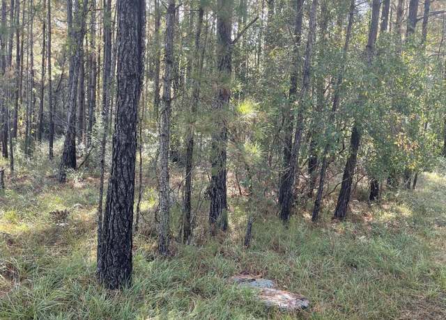 Property at 2234 SW Red Bud Rd, Supply, NC 28462