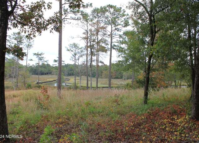 Property at 407 Salt Creek Rd, Swansboro, NC 28584