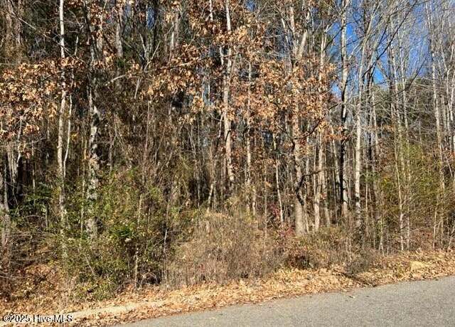 Property at Tbd Parker St, Ahoskie, NC 27910