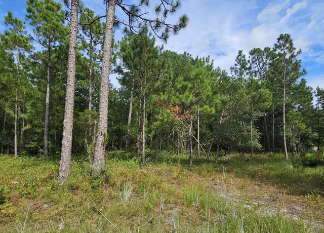 Property at 0000 Hines Stump Sound Church Rd, Holly Ridge, NC 28445
