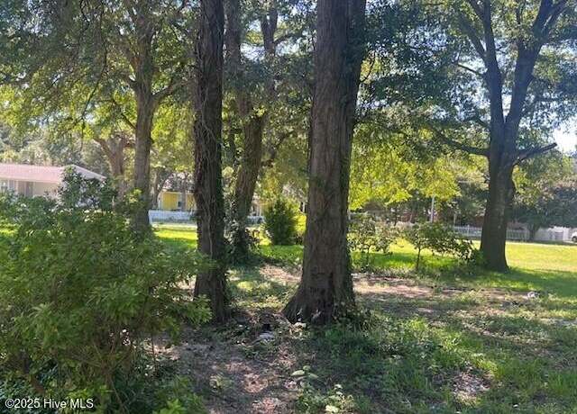 Property at 204 Savannah Ave, Morehead City, NC 28557
