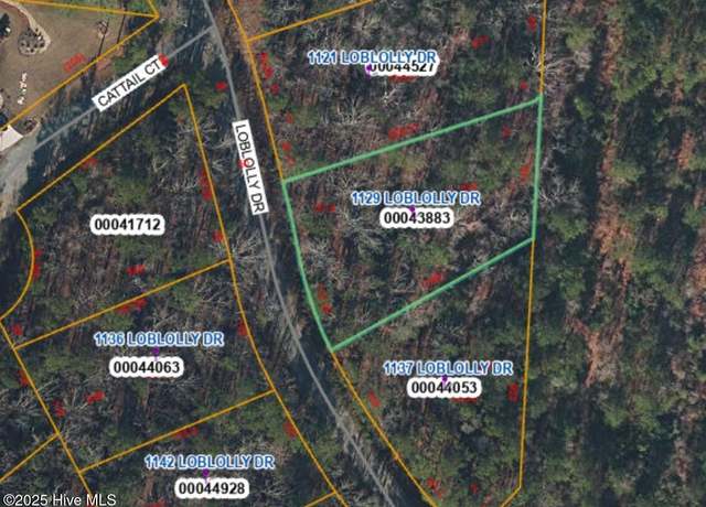 Property at 1129 Loblolly Dr, Vass, NC 28394