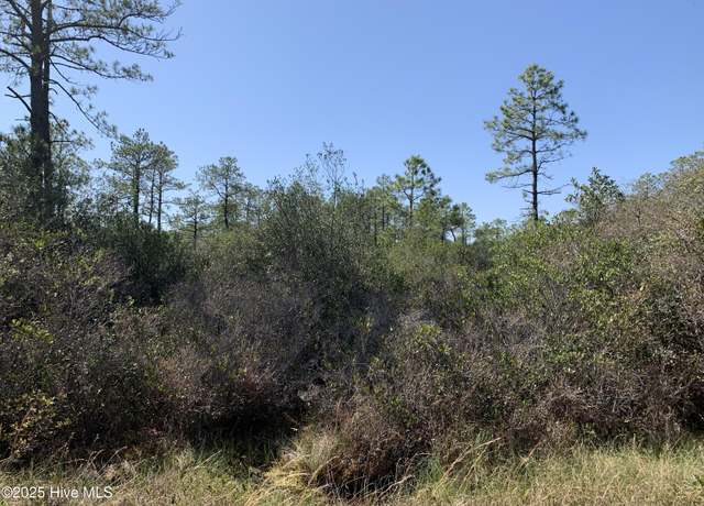 Property at Lot 149 Bermuda Rd, Boiling Spring Lakes, NC 28461