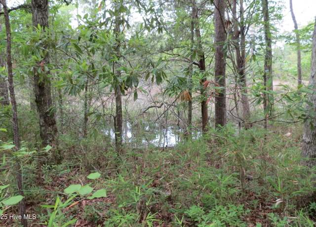 Property at 117 Shoreline Ct, Oriental, NC 28571