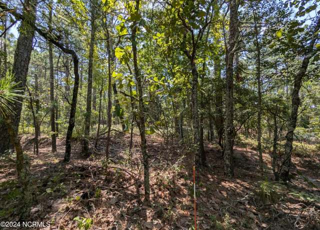 Property at 445 Thimbleberry Dr, Vass, NC 28394
