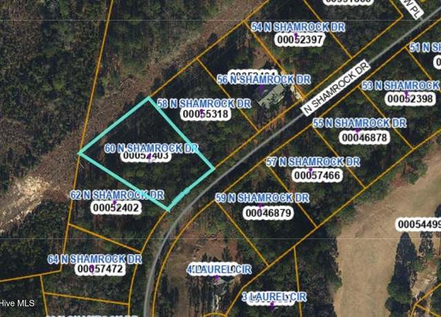 Property at 60 N Shamrock Dr, Jackson Springs, NC 27281