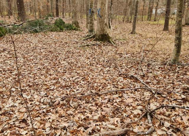 Property at 146 Tranquility Ln, Hertford, NC 27944