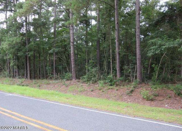 Property at Near 484 John Spaulding Rd, Clarkton, NC 28433