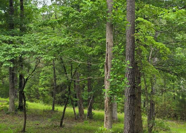 Property at 206 Yellow Fin Ct, Sneads Ferry, NC 28460