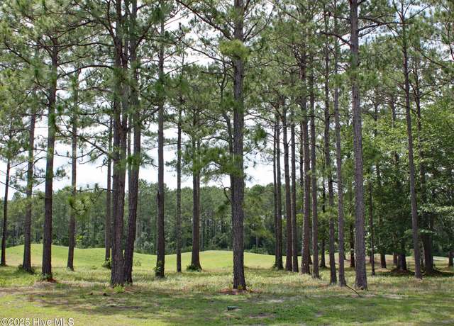 Property at 6247 Castlebrook Way SW, Ocean Isle Beach, NC 28469