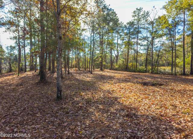 Property at 65 Tarpon Pointe Rd, Bath, NC 27808