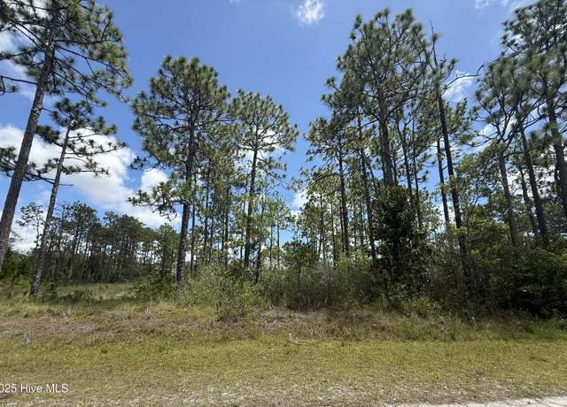 Property at 407 Sunset Rd, Boiling Spring Lakes, NC 28461
