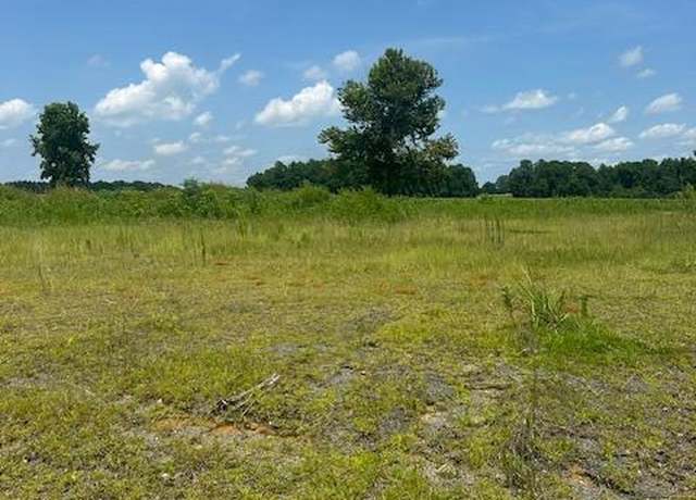 Property at Near 93 Williams Rd, Clarendon, NC 28432
