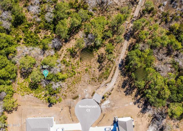 Property at 607 Needlerush Ct, Sneads Ferry, NC 28460