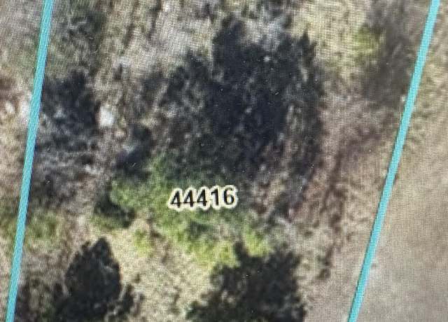Property at 932 Thomas St, Greenville, NC 27834