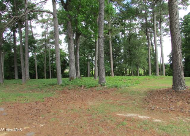 Property at 0 Jasmine Ct, Clinton, NC 28328
