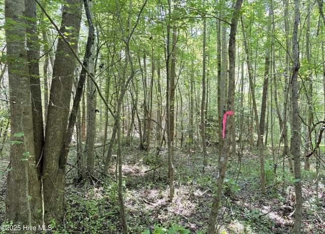 Property at Lot 22 Buckhorn Church Rd, Como, NC 27818