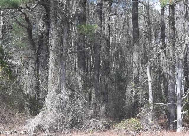 Property at Lot 2 Griffin Swamp Rd, Elizabeth City, NC 27909