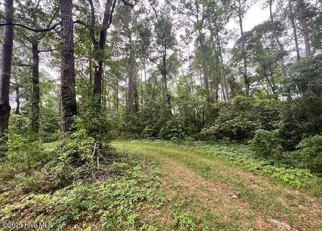 Property at Lot 1b 117 Highway Off Nc, Rocky Point, NC 28457