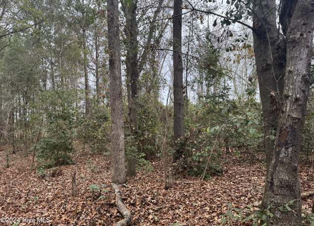 Property at 0 Nc 53 Hwy W, White Oak, NC 28399